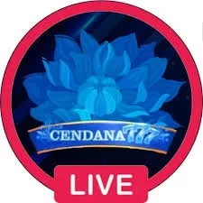 Download cendana777 APK Terbaru Full Version